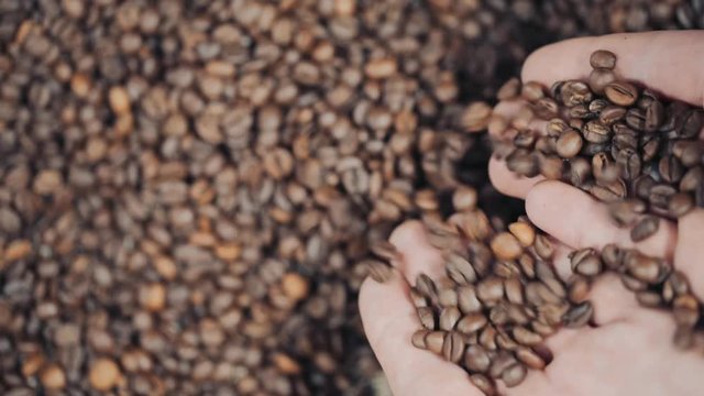 Conceptual clip of coffee beans, slow motion.