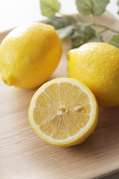 レモン　Lemon