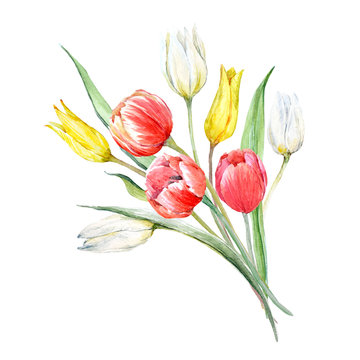 Watercolor mimosa and tulip bouquet
