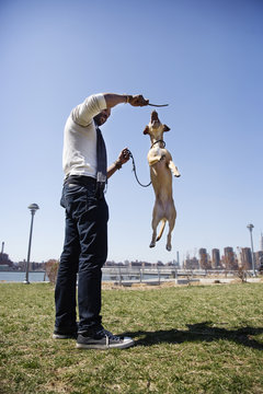 Man playing with dog in park
