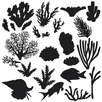 Reef Animals and Corals Silhouette Set