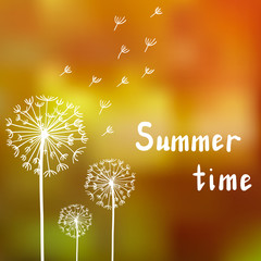 Dandelions on bright summer background, summer dreams