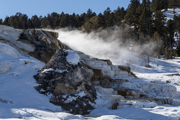 Minerva terrace. Travertine terraces at Mammoth Hot Springs. 