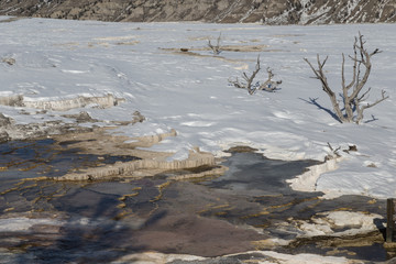 Main terrace. Travertine terraces at Mammoth Hot Springs.