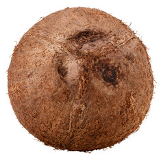 coconut Isolated on white background