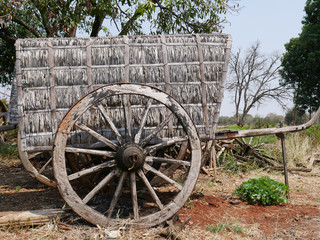 Obraz premium Old traditional ox cart in Thailand
