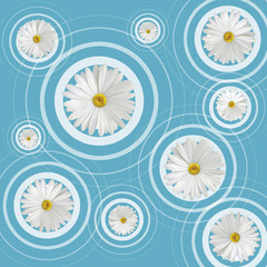  
Daisy flower on water ripple effect
