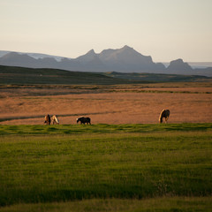 Iceland