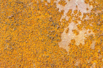 Texture of rusty metal surface