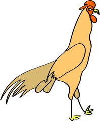 Rooster with attitude