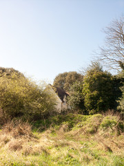 House in Field