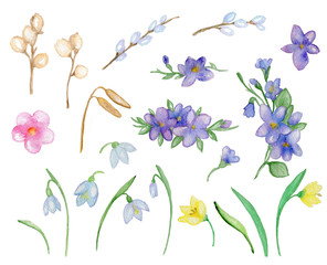 Spring watercolor flowers