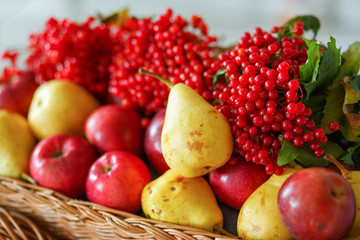 Autumn scene from berries of viburnum, apples and pears lie on the wicker willow cart