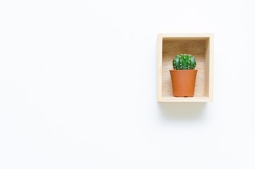 mini cactus in pot and wooden box on white background with copy space for text.