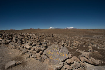 flora e fauna delle ande