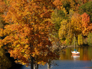 Sailboat on a fall lake in New Brunswick, Canada