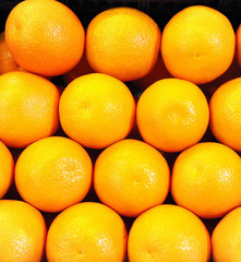 Grapefruits on the market