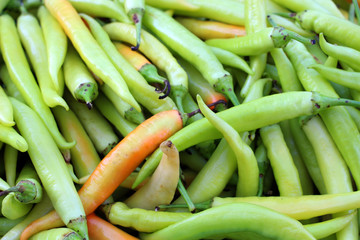 green chilli background