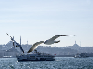Fototapeta na wymiar Symbols of Istanbul