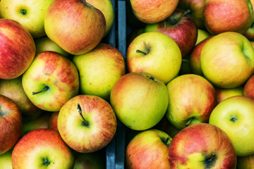 Closeup of crates of juicy, fresh, ecologically produced apples, Fuji, without nitrates in the market for fruit and vegetables. Concept health, agriculturally.