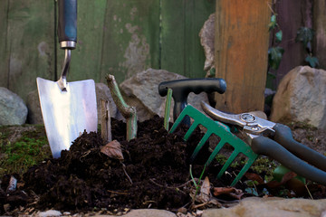 Fototapeta na wymiar Gardening Tools