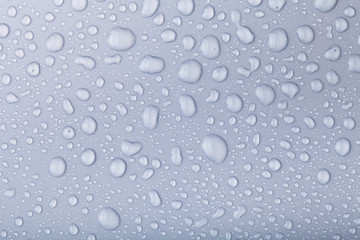 Drops of water on a color background. Gray