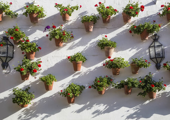 Patio andaluz. Cordoba, Spain.