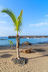 Palm trees on black sand volcanic beach in San Juan port, Tenerife island, Spain
