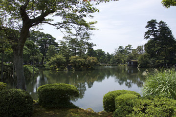 Fototapeta na wymiar Maruyama Koen alberi laghetto