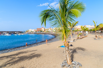 Palm tree on a beach in San Juan port on Tenerife island, Spain