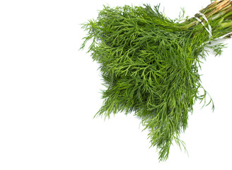 Dill bunch isolated on white background