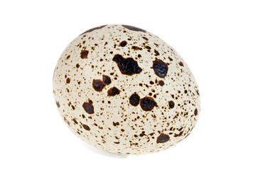 Quail egg on a white background
