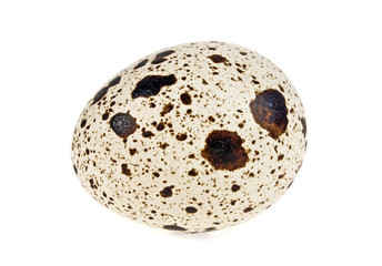 Quail egg on a white background