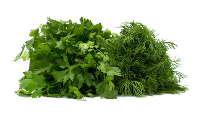 dill and parsley isolated on white background