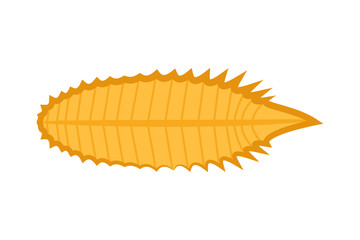 Tree leaf symbol