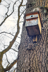 Old bird house.Wooden birdhouse on a tree.