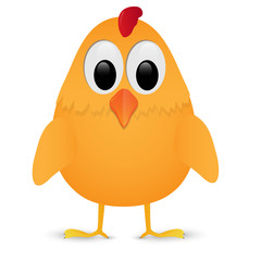 Chicken isolated on white background.Vector illustration.