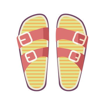 Casual Summer Flip-Flops Isolated Illustration