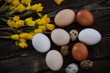 wiosenna aranżacja. jajka wielkanocne z wiosennymi kwiatami - obrazy, fototapety, plakaty