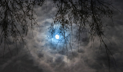 Sonne spiegelt sich in einer Pfütze