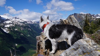 Hiking Washington State