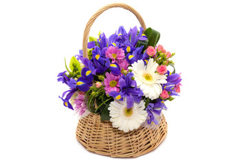 Fototapeta na wymiar Flower arrangement in a pot, basket, on a white background 