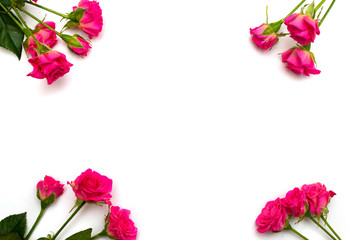 Flowers frame, branches isolated on white background. Flat lay, Top view
