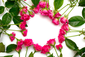 Flowers frame, branches isolated on white background. Flat lay, Top view
