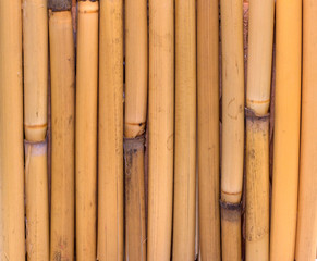 Bamboo sticks. Wooden background. Wood texture