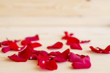 Red rose petals on a wooden background.