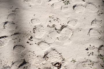 Schuhabdrücke im Sand / Die Abdrücke der Schuhsohlen eines Stiefels beziehungsweise von Boots im Sand.