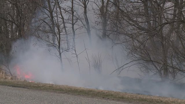 Danger of forest fire - smoke and fire on the field near the forest. This wood fire footage appropriate to visualize wildfire or prescribed burning.