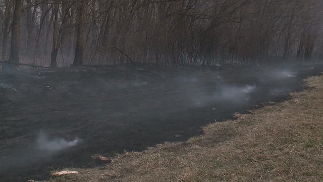 Danger of forest fire - smoke and fire on the field near the forest. This wood fire footage appropriate to visualize wildfire or prescribed burning.