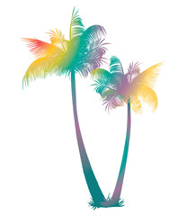 Multicolored palms